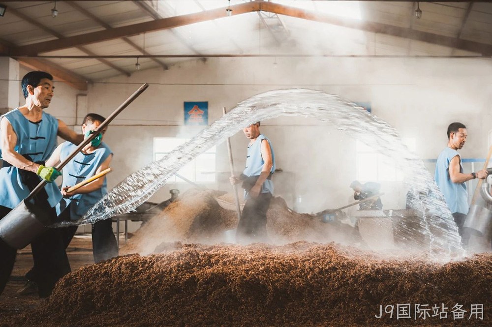 图片8